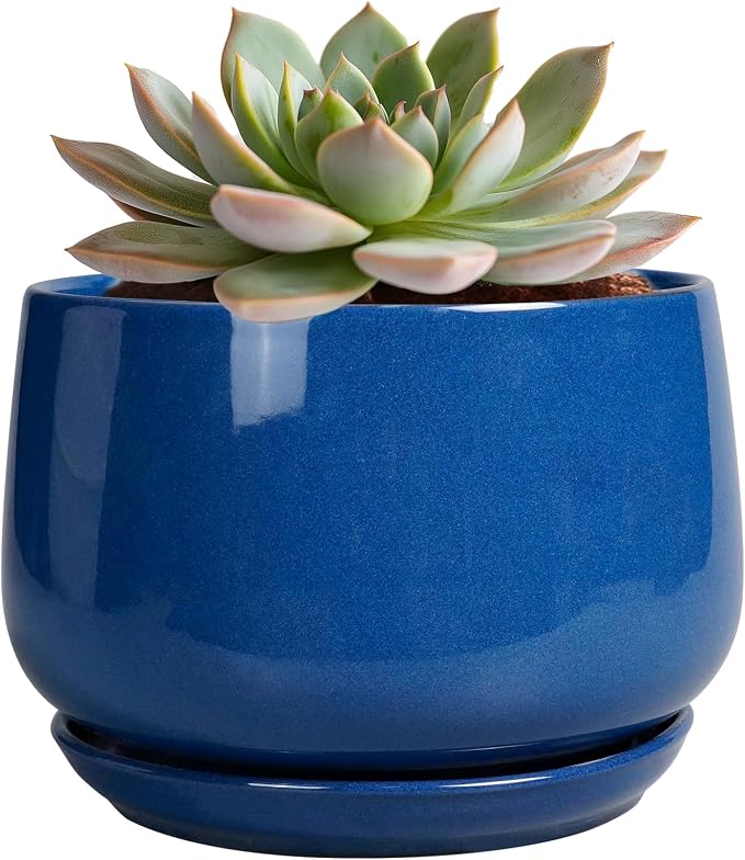 G EPGardening 6 Inch Plant Pot by GEPGardening