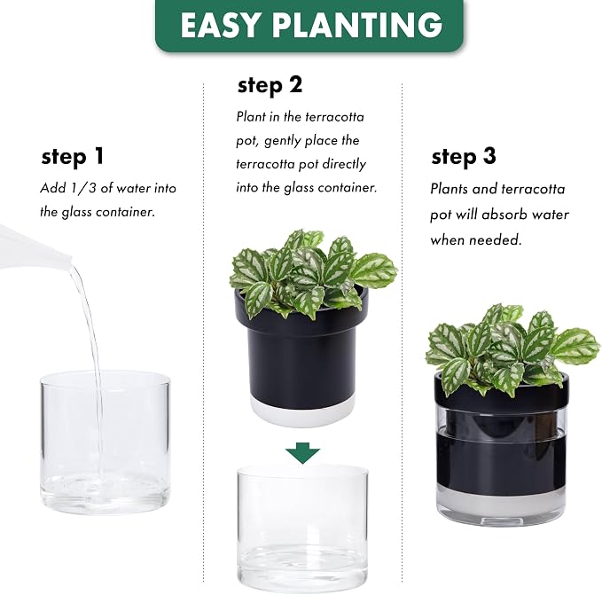 Phoenix Vine 6 Inch 4 Inch Self Watering Terracotta Planter - Image 7