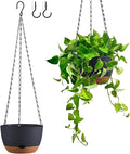 Hanging Planters for Indoor Plants by Unknown