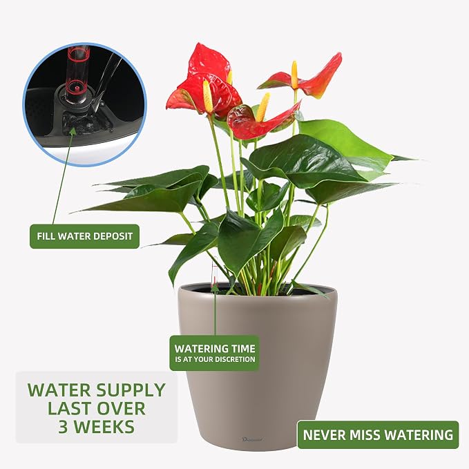 Dexceder 13x12 Self Watering Planter - Image 5