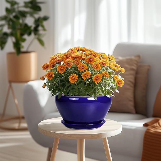 Planter for Indoor Plants 9 Inch - Image 2