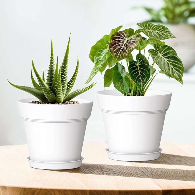 5 Inch Plastic Plant Pots with Drainage Holes and Trays – 6 Pack Small Nursery - Image 6
