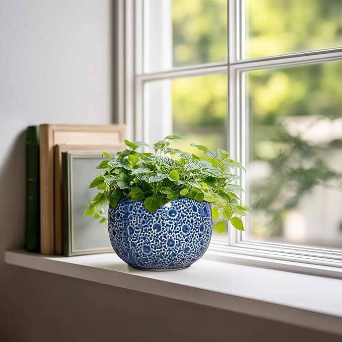 Orchid Pot - 6 Inch Ceramic Plant Pot - Image 3