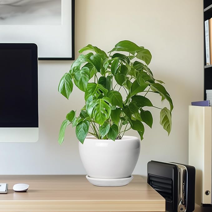 Ceramic Pot for Plants - Image 7
