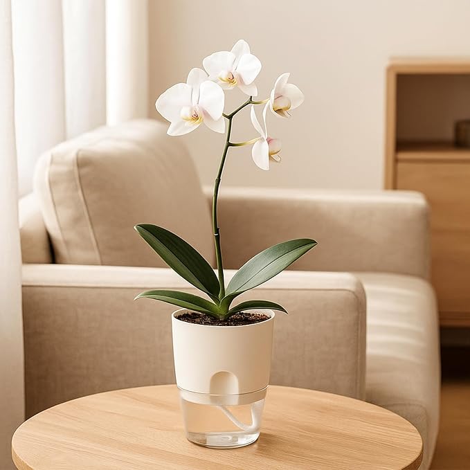 6 Pack Self Watering Pots for Indoor Plants, PlanterHoma 3.2/4/6 Inch Plant Pot - Image 2
