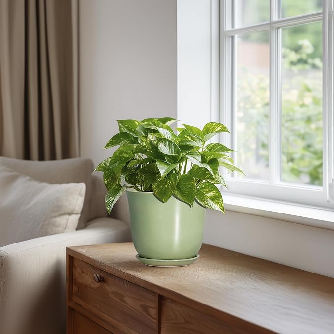 5.6 Inch Plant Pot - Image 5
