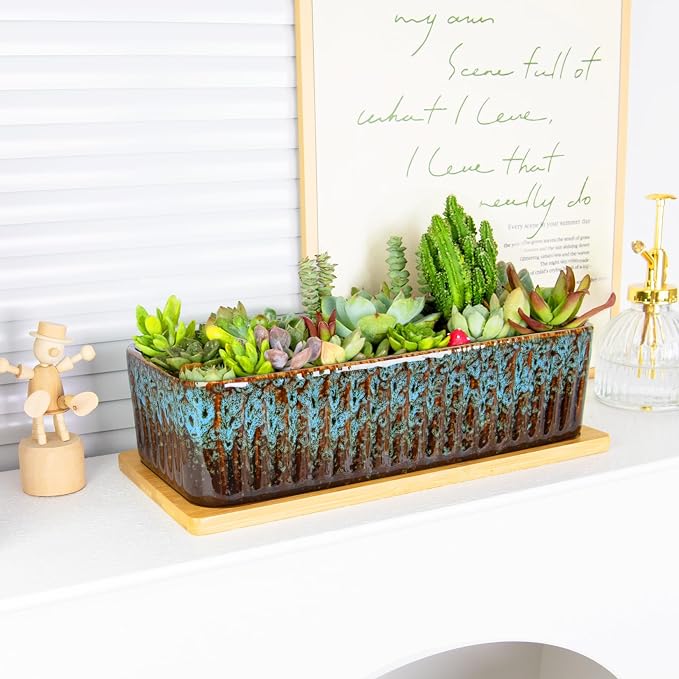 Succulent Pots - 12 Inch Large Succulent Planters - Image 4