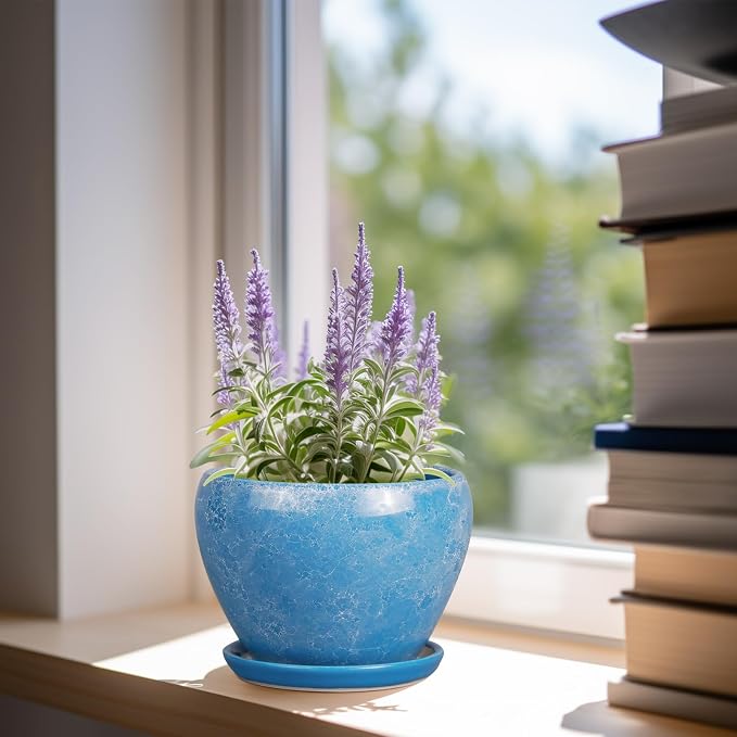 6 Inch Plant Pot - Image 6