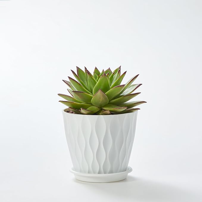 FaithLand 6-Pack 6-Inch Plastic Plant Pots - Image 7
