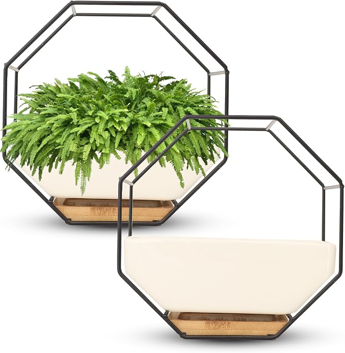 IRYL Wall Planter for Indoor Plants - Image 3