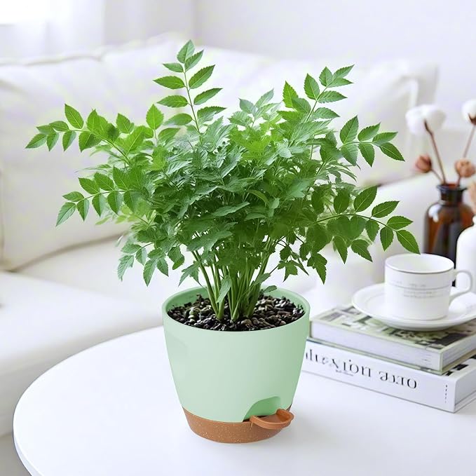 5-Pack Plant Pots with Drainage - Image 7