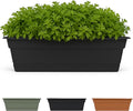 Bloem Dura Cotta Window Box Planter: 30" by Bloem