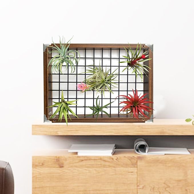 Plant Hanger Indoor Outdoor - Image 7