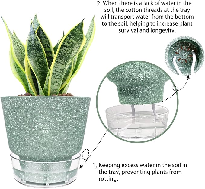 Plant Pots - 6" Orchid Pot, 5 Pack Orchid Pots - Self Watering Pots - Image 5