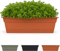 Bloem Dura Cotta Window Box Planter: 30" by Bloem