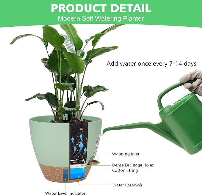 12" 10" 9" 8" Self Watering Pots - Image 6