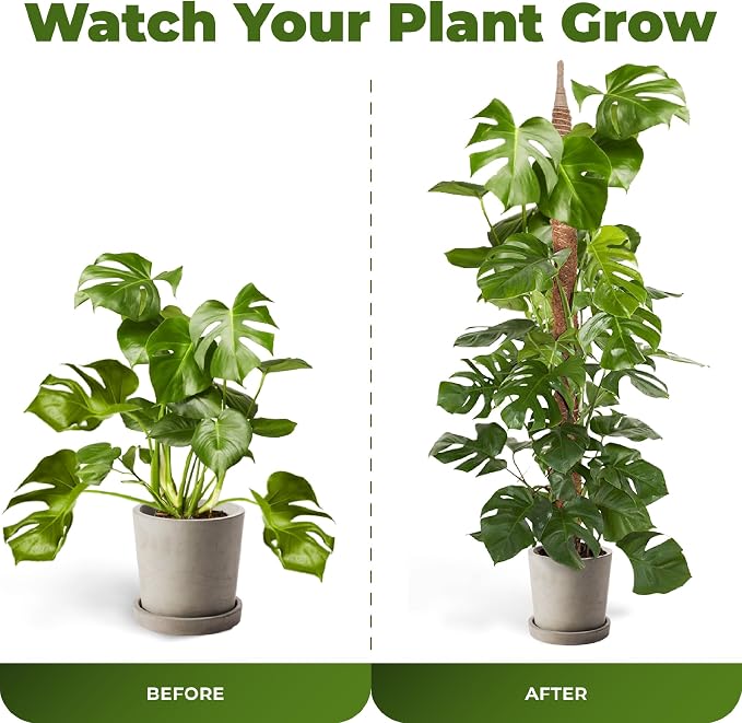 2 Pack 48'' Bendable Moss Pole Monstera Plant Support - Image 5