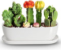 E-liu Oval Ceramic Planter Pot by Creatingwarmandrefinedlifestylekitchenandhomeessentials