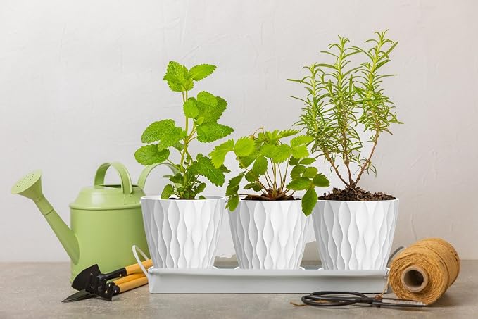 4 Inch Plant Pots, 6 Pack Indoor Flower Pots, Planters - Image 5