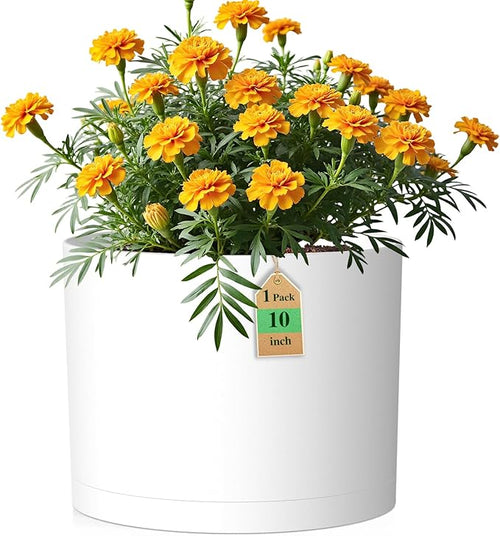 10 Inch Round Plastic Plant Pot by WSMKSZ