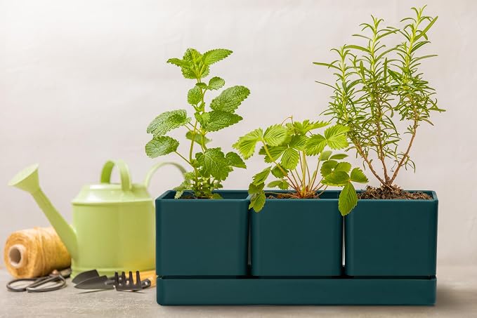D'vine Dev Herb Garden Planter Set, Plastic Plant Pots - Image 4