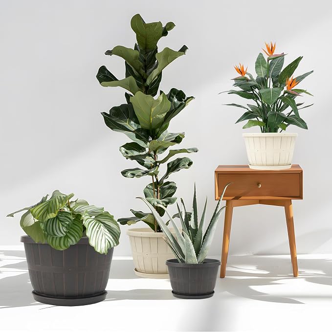 Quarut 12 Inch Large Planter Pot - Image 4