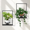 Wall Plant Holder Window Plant Shelves Set of 2, Wall Planters by STORENIZATION