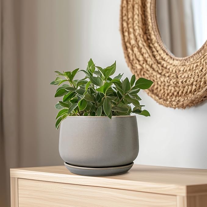 G EPGardening Ceramic Planter 9 Inch - Image 6