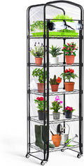 Abimars 5-Tier Mini Greenhouse by Abimars