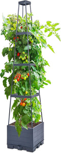GENMOUS 4 Tiered Tomato Planter by GenMousCo