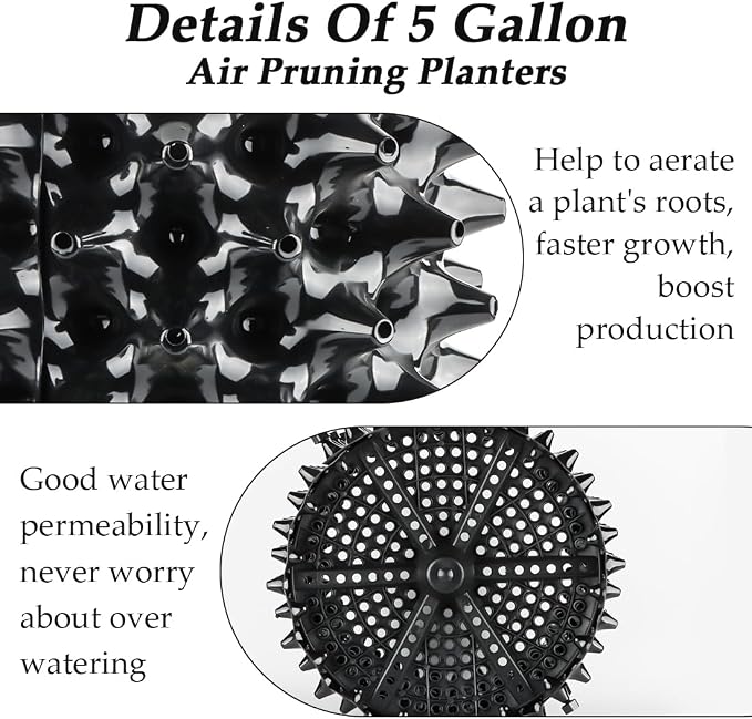 Air Pruning Planters 5 Gallon 6-Pack, Sturdy Plastic Roots Control Planter - Image 3