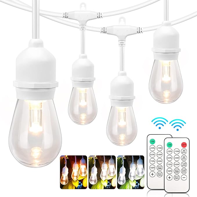 Mlambert 3 Color Outdoor LED Dimmable String Lights by Mlambert