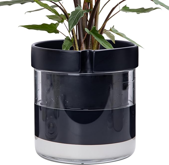 Phoenix Vine 8 Inch Self Watering Terracotta Planter by Phoenix+Vine