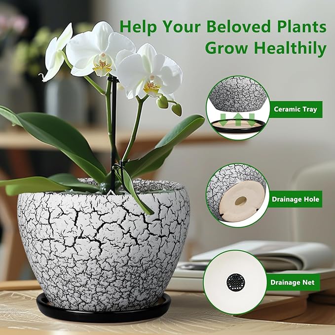 Ceramic Plant Pot 8 Inch - Image 6