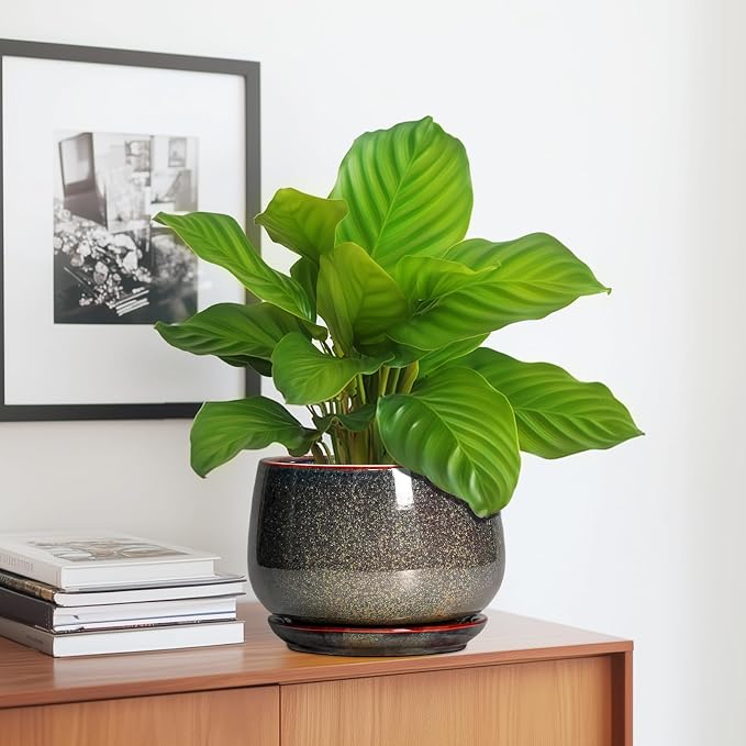 G EPGardening 7 Inch Ceramic Pots - Image 5