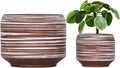 8 Inch + 6 Inch Ceramic Plant Pots Indoor by Bestseler