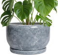 SQOWL Ceramic Pot for Plants by SQOWL