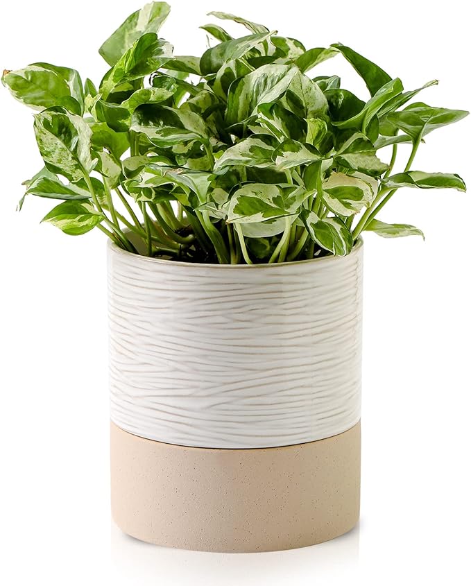 Nihow Self Watering Plant Pot: 6 Inch Ceramic Planter by Nihow