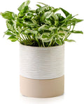Nihow Self Watering Plant Pot: 6 Inch Ceramic Planter by Nihow