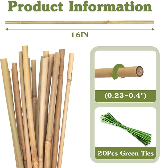 Plant Stakes 16inch, HAINANSTRY Plant Support Stakes - Image 2