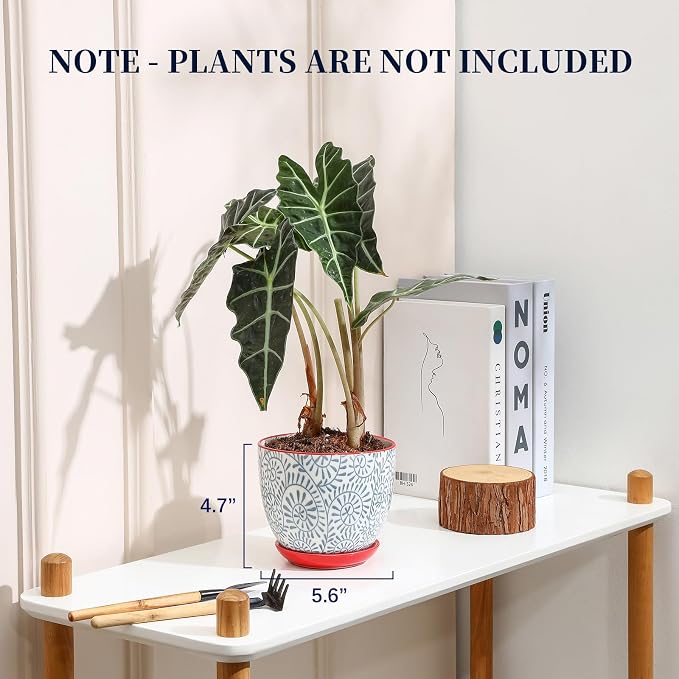 Selamica Ceramic Plant Pots, 5.6 Inch Flower Pots - Image 2