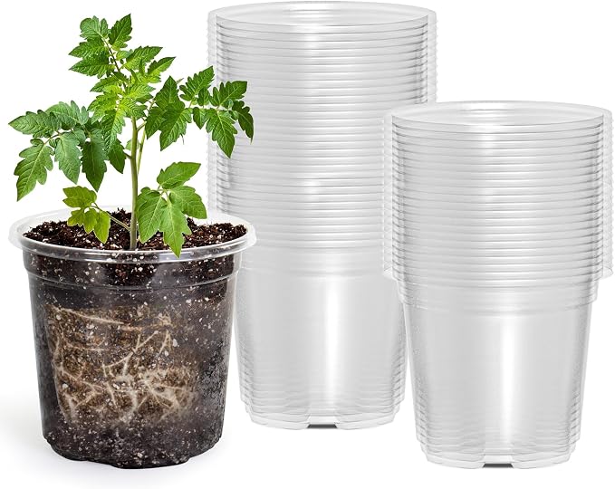 50 Packs 4 Inch Reinforced Clear Nursery Pots by Bluepro