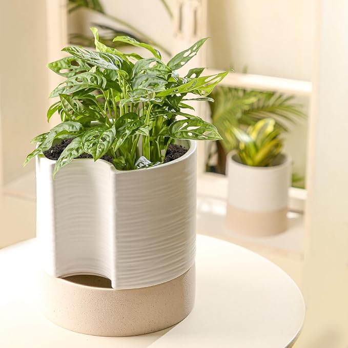 Nihow Self Watering Plant Pot: 8 Inch Ceramic Planter - Image 6