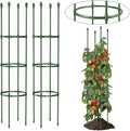 Garden Trellis, Tomato Cage Tall Plant Support Climbing Vines Flowers Stands by LOMNYIY
