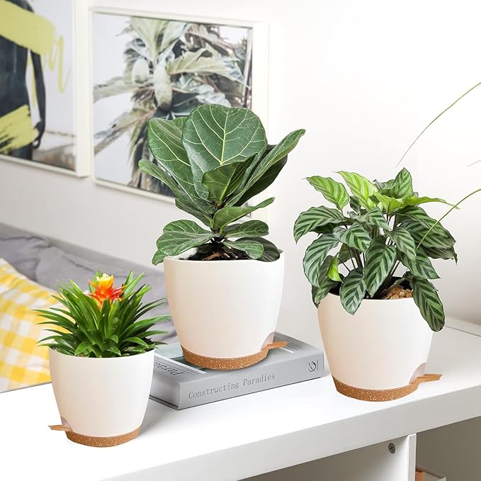 Self Watering Planters with Drainage Holes Reservoir, Nursery Planting Pot - Image 5