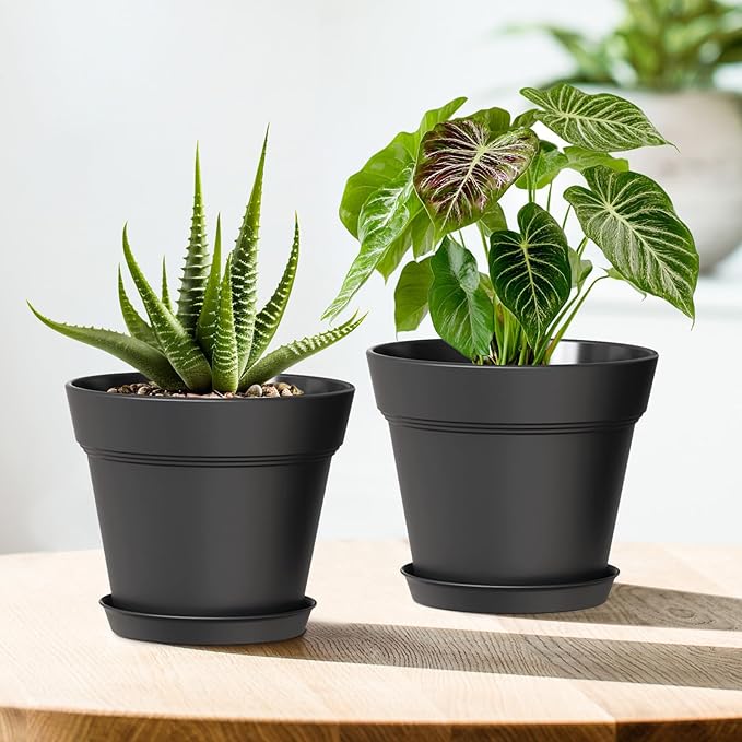 4 Inch Plastic Plant Pots with Drainage Holes and Trays – 8 Pack Small Nursery - Image 5