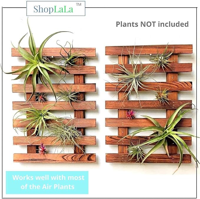 ShopLaLa Wall Planter - Image 6