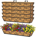 Y&M 30 Inch Butterfly Window Deck by YM