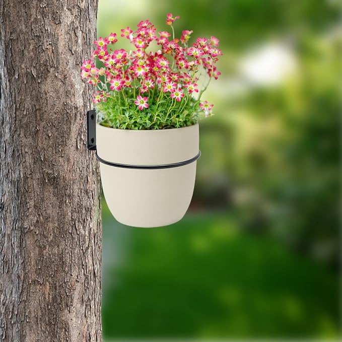 6 Pack 8 Inch Wall Flower Pot Holder Ring Plant Hanger, Metal Planter Hooks - Image 6