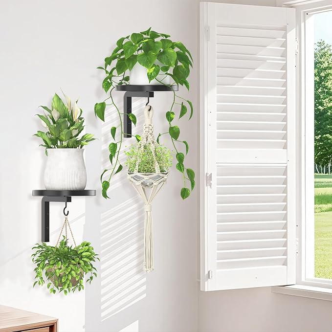 iDavosic.ly Wall Plant Holder Set of 2 - Image 7